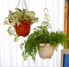 AGO4 im Innenbereich