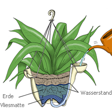 AGO4 mit Erde oder Hydrokultur