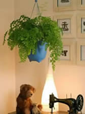 AGO4 H&auml;ngepflanzentopf