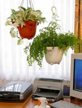 AGO4 H&auml;ngepflanzentopf